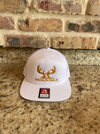 Rack-N-Tails White/Gold 7 Panel